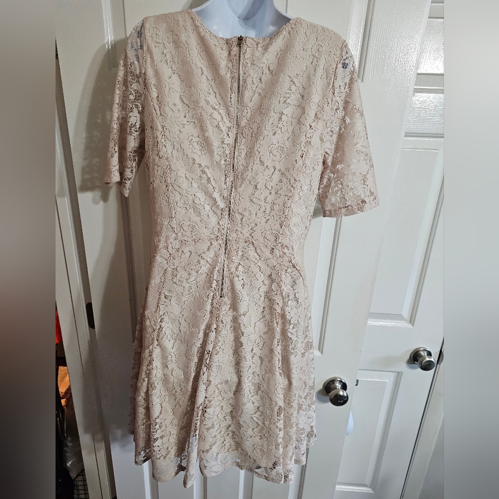 Julian Taylor Women 12 Cream Floral Lace Fit & Flare Dress Timeless Cottagecore - Picture 3 of 7
